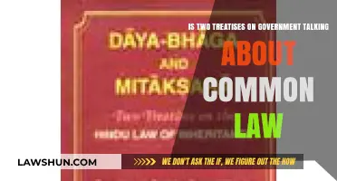 Understanding Common Law Through Locke's Two Treatises