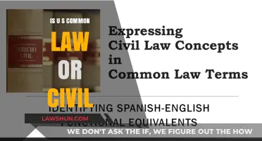 Civil Law vs Common Law: What's the US System?