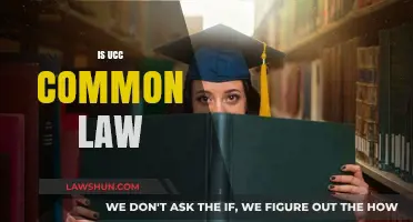 UCC and Common Law: What's the Difference?