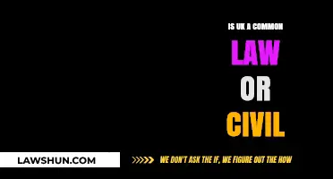 Civil or Common Law: What's the UK's Legal System?