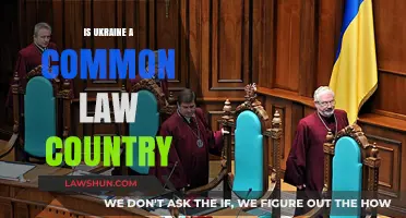 Ukraine's Legal System: Common or Civil Law?