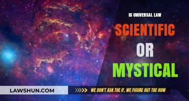 Universal Laws: Science or Mysticism?