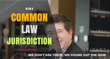 Common Law: Understanding the US Jurisdiction