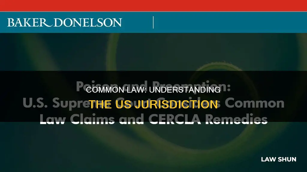 is us a common law jurisdiction