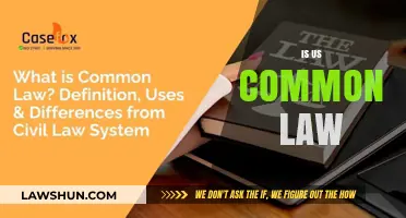 Common Law in the US: What's the Deal?