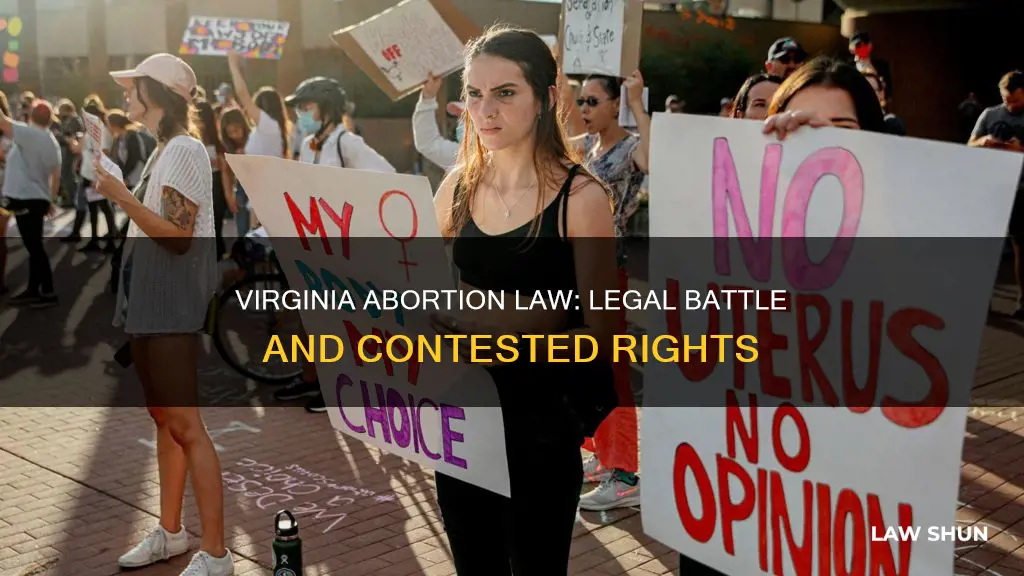 is va abortion law being contested