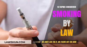 Clearing the Air: Legal Perspectives on Vaping and Smoking Regulations