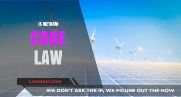 Understanding Vietnam's Legal Framework: Is It a Civil or Common Law System?