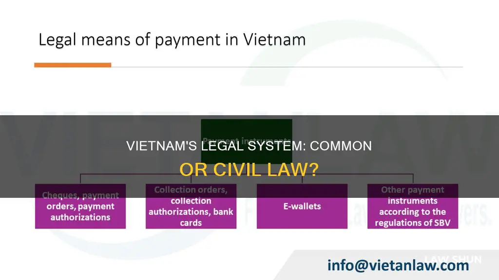 is vietnam common law