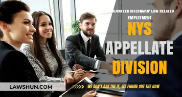 NYS Appellate Division Ruling on Volunteer Internship Employment Law