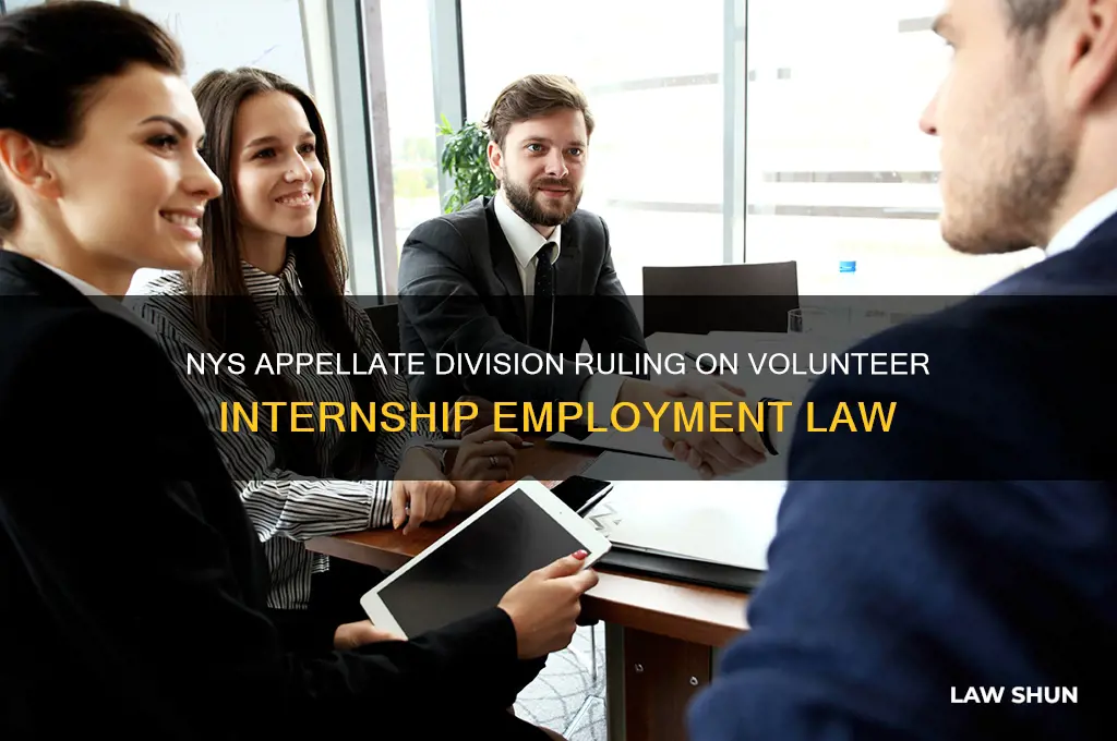 is volunteer internship law related employment nys appellate division