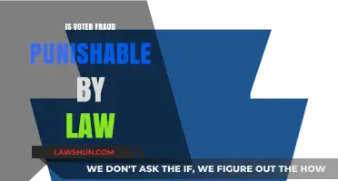 Is Voter Fraud Punishable by Law? Understanding Legal Consequences