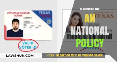 Are Voter ID Laws a National Policy? Exploring the Debate