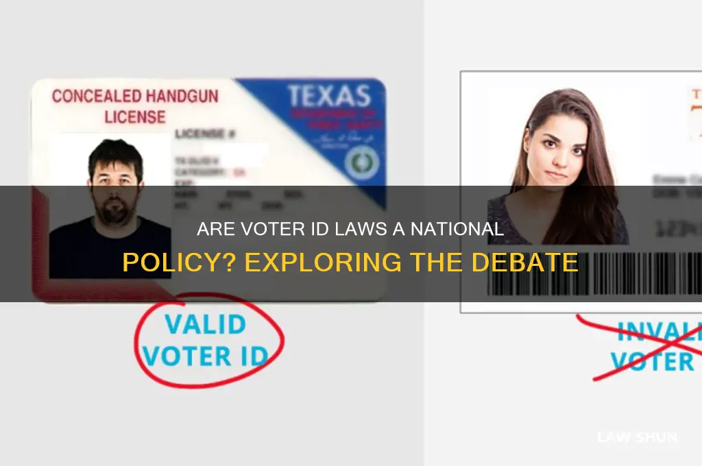 is voter id laws an national policy