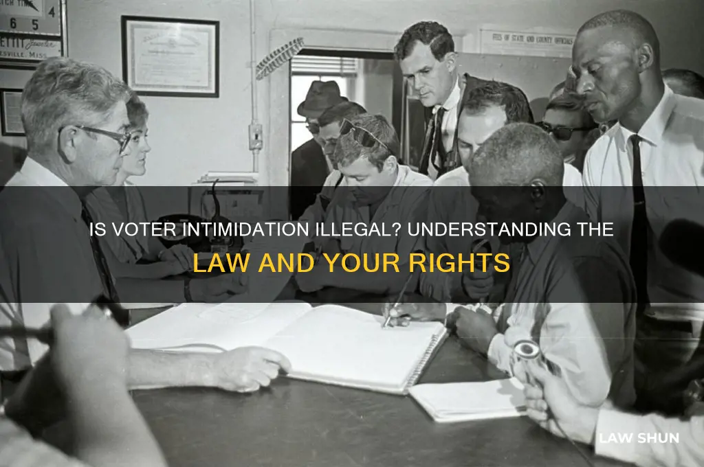 is voter intimidation against the law