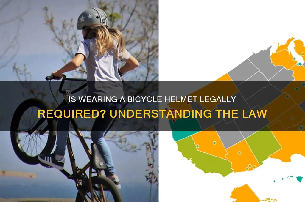 is wearing a bicycle helmet the law