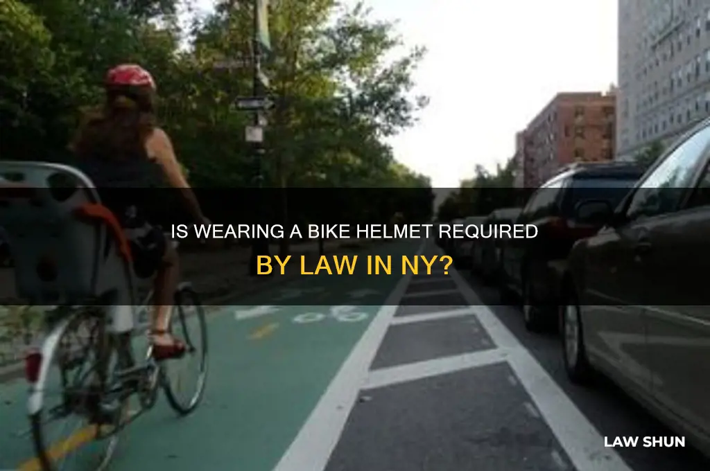 is wearing a bike helmet a law in ny