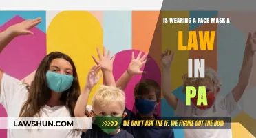 Is Wearing a Face Mask Mandatory in Pennsylvania? Legal Insights