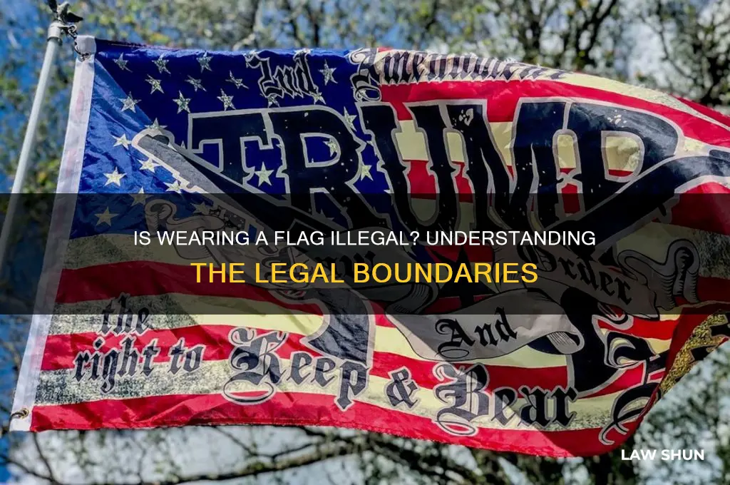 is wearing a flag against the law