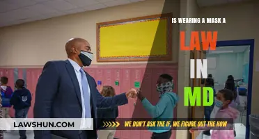 Is Wearing a Mask Mandatory in Maryland? Legal Insights