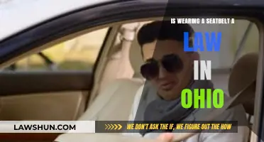 Ohio Seatbelt Laws: Mandatory or Optional? What You Need to Know