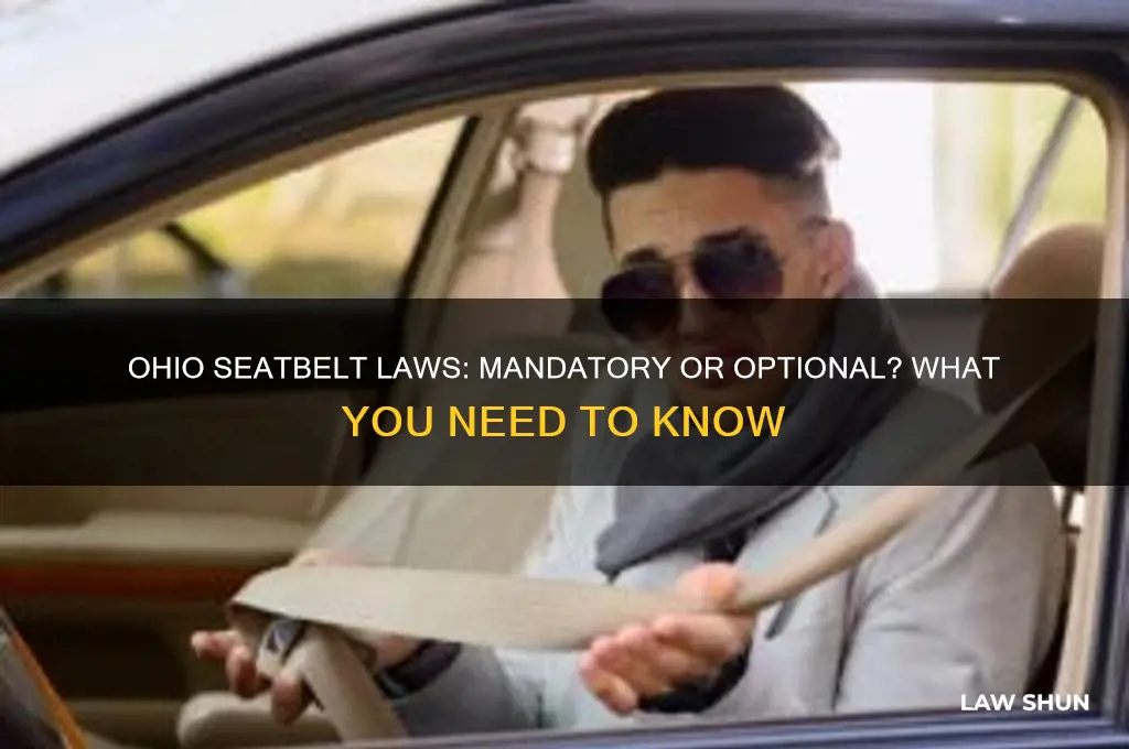 is wearing a seatbelt a law in ohio