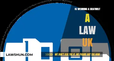 Is Wearing a Seatbelt Mandatory in the UK? Legal Insights