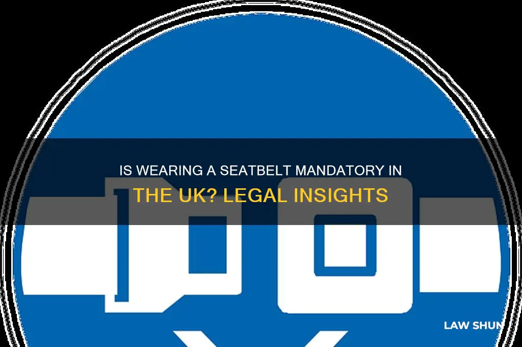 is wearing a seatbelt a law uk
