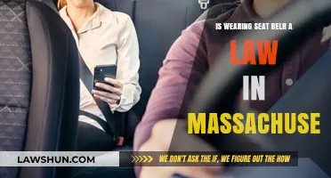 Massachusetts Seat Belt Laws: What You Need to Know