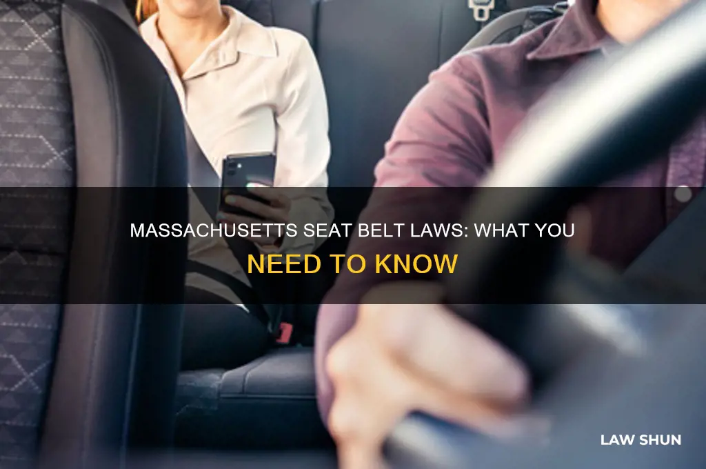 is wearing seat belr a law in massachusetts