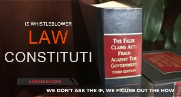 Whistleblower Law: Constitutional or Controversial?