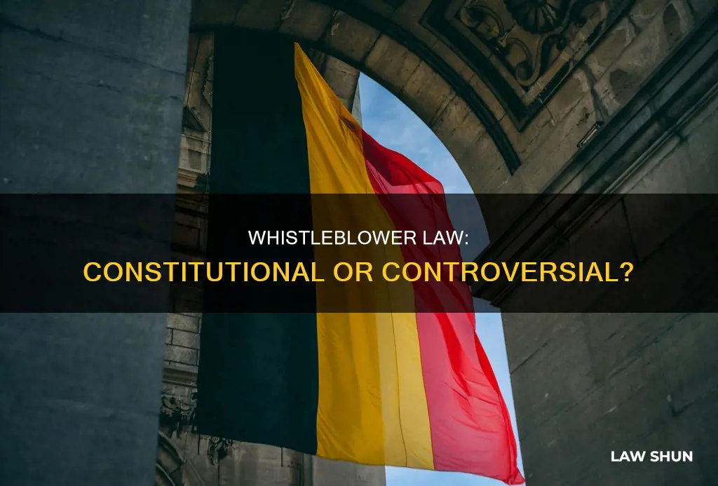 is whistleblower law constitutional