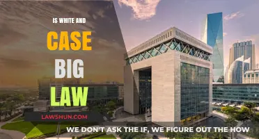 White & Case: A Leading Global Law Firm