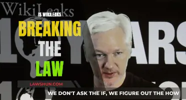 Wikileaks: Freedom Fighter or Lawbreaker?