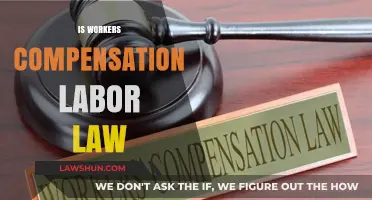 Workers' Compensation: Understanding Its Role in Labor Law Compliance