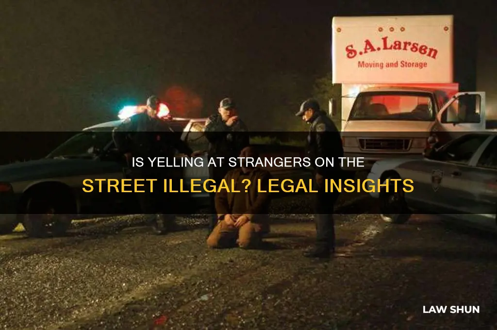 is yelling at people on the street against the law