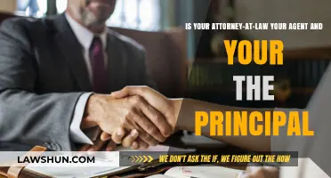 Attorney-Client Relationship: Understanding Principal-Agent Dynamics in Legal Representation