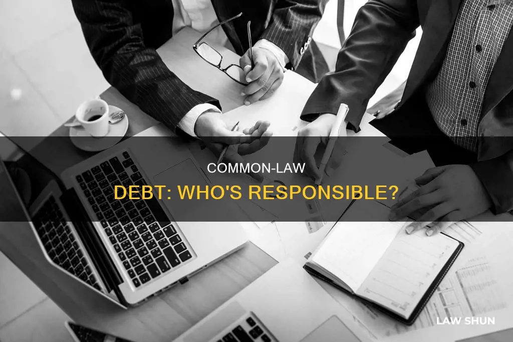 is your common law partner responsible for your debt