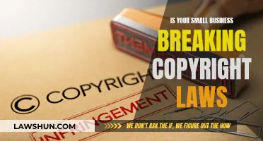 Small Businesses: Are You Infringing on Copyright Laws?