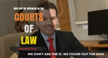 Final Decisions: Understanding Legal Rulings That Cannot Be Appealed