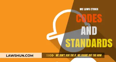 Navigating Professional Integrity: Laws, Ethics, Codes, and Standards Explained