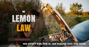 Understanding Your Rights: A Comprehensive Guide to Lemon Law Protection