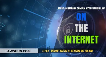 Navigating Global Compliance: Do Companies Need to Follow Foreign Internet Laws?