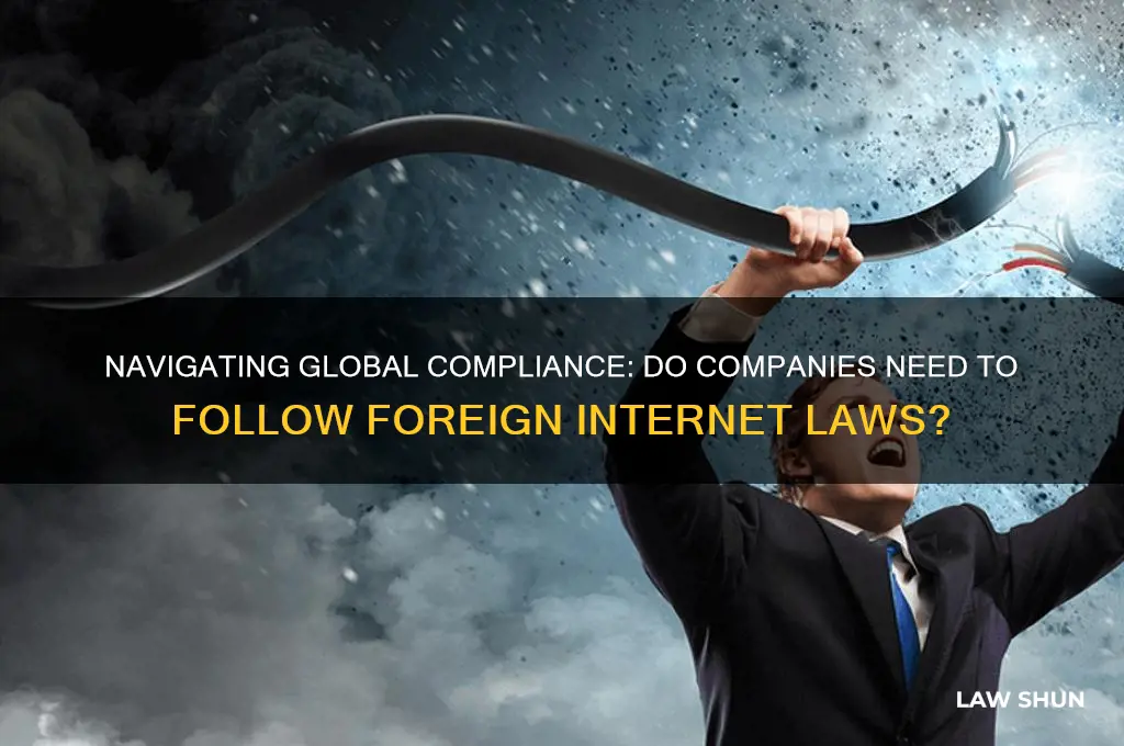 must a company comply with foreign law on the internet