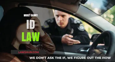 Understanding the Must Carry ID Law: Implications and Compliance Tips