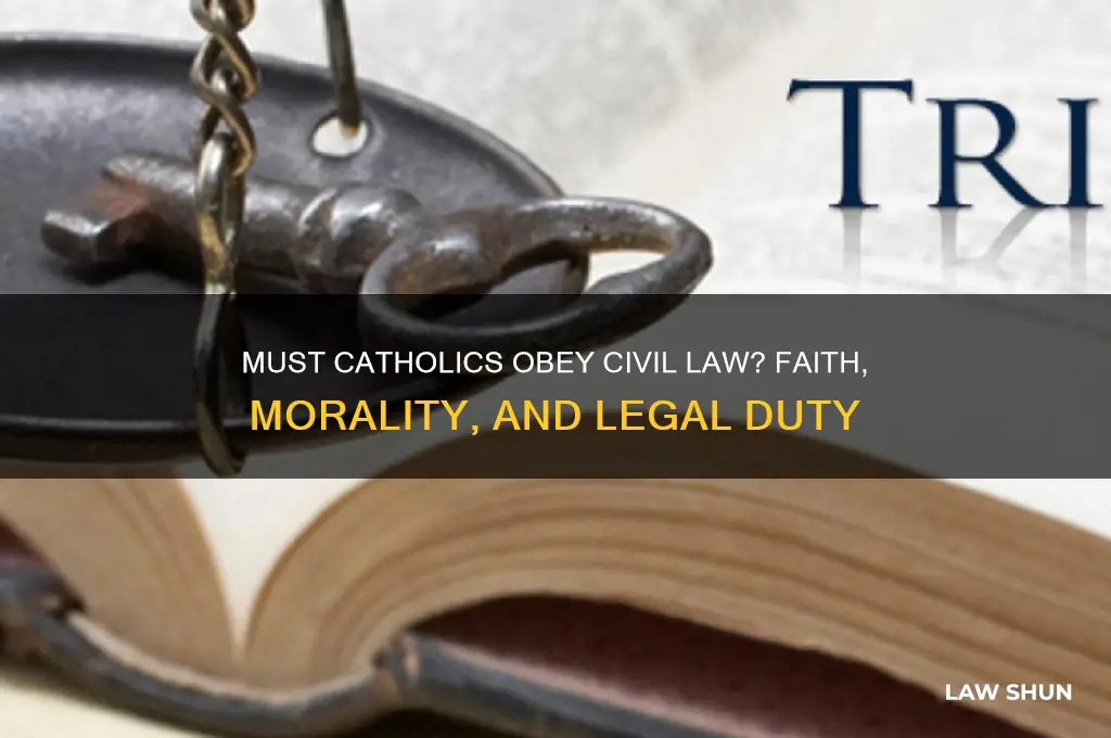 must catholic obey civil law