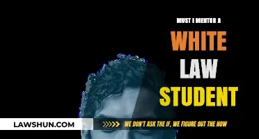 Mentoring a White Law Student: Navigating Race, Privilege, and Responsibility