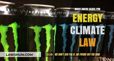 Energy Law: Landmark Cases You Need to Know
