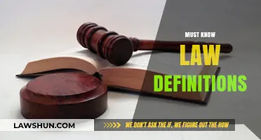 Essential Legal Terms: Must-Know Law Definitions for Everyday Understanding