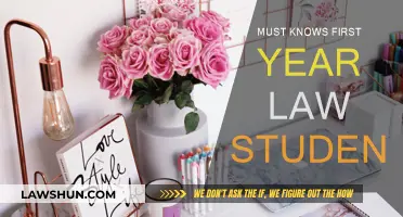 First-Year Law Student? Know These Essentials
